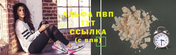 сатива Абинск