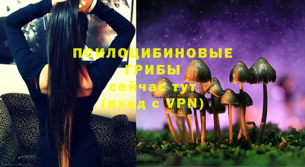 ALPHA-PVP Покровск