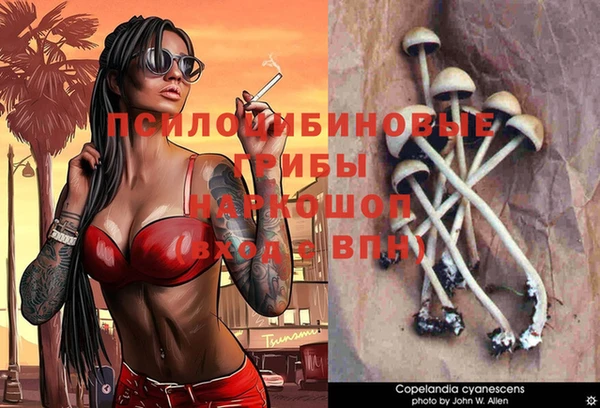 сатива Абинск