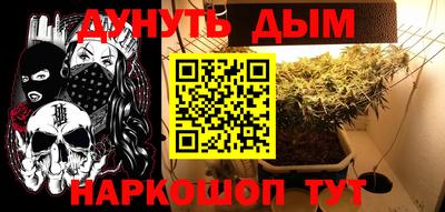 трава Сланцы