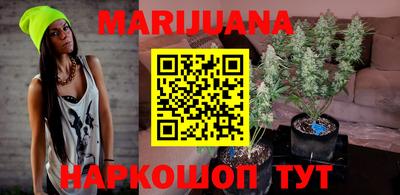 трава Сланцы