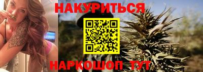 трава Сланцы