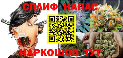 трава Сланцы
