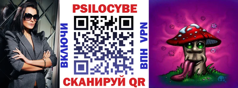 OMG ССЫЛКА  Рассказово  Галлюциногенные грибы Psilocybine cubensis 