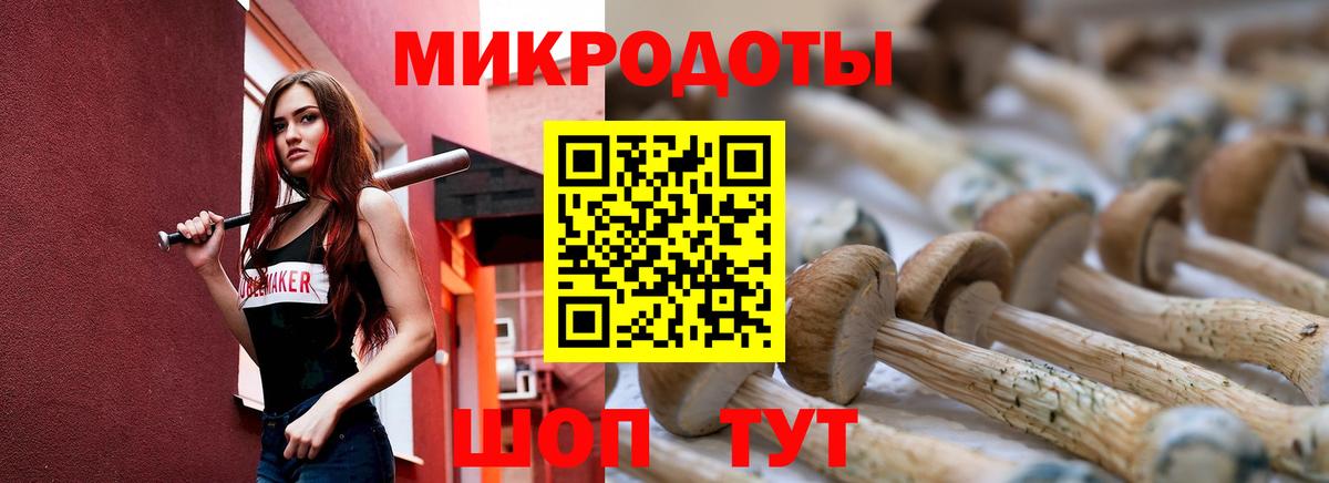 Псилоцибиновые грибы мухоморы  как найти   Рассказово  Вход с VPN 