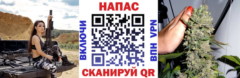 цена   Рассказово  Бошки Шишки гибрид 